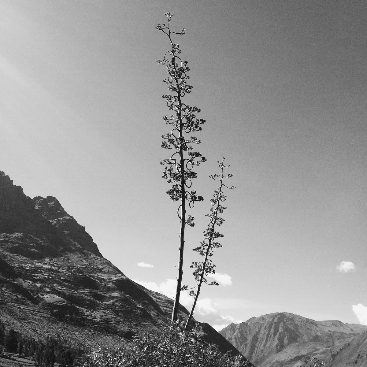 andenbild 14