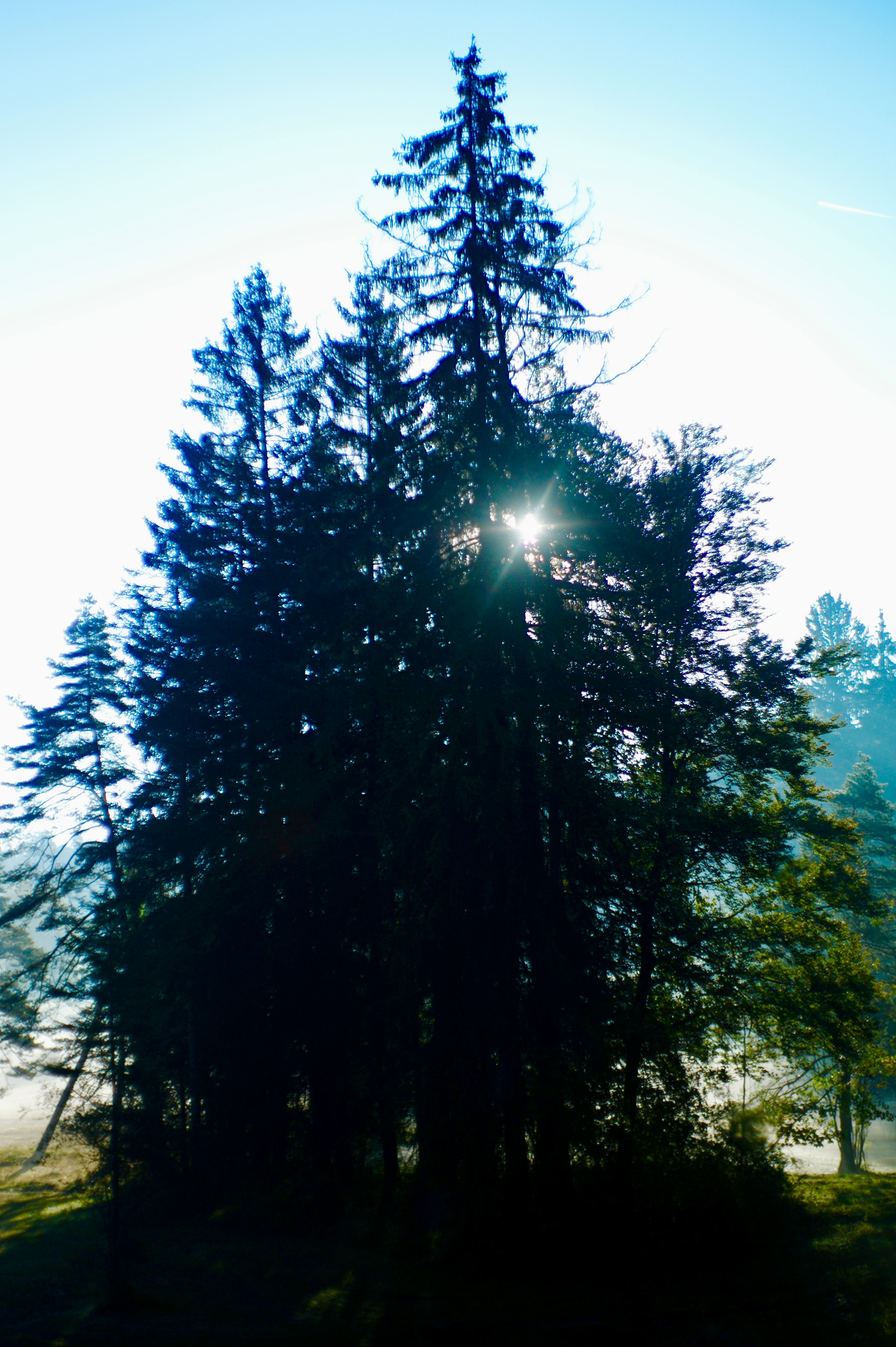 light 1