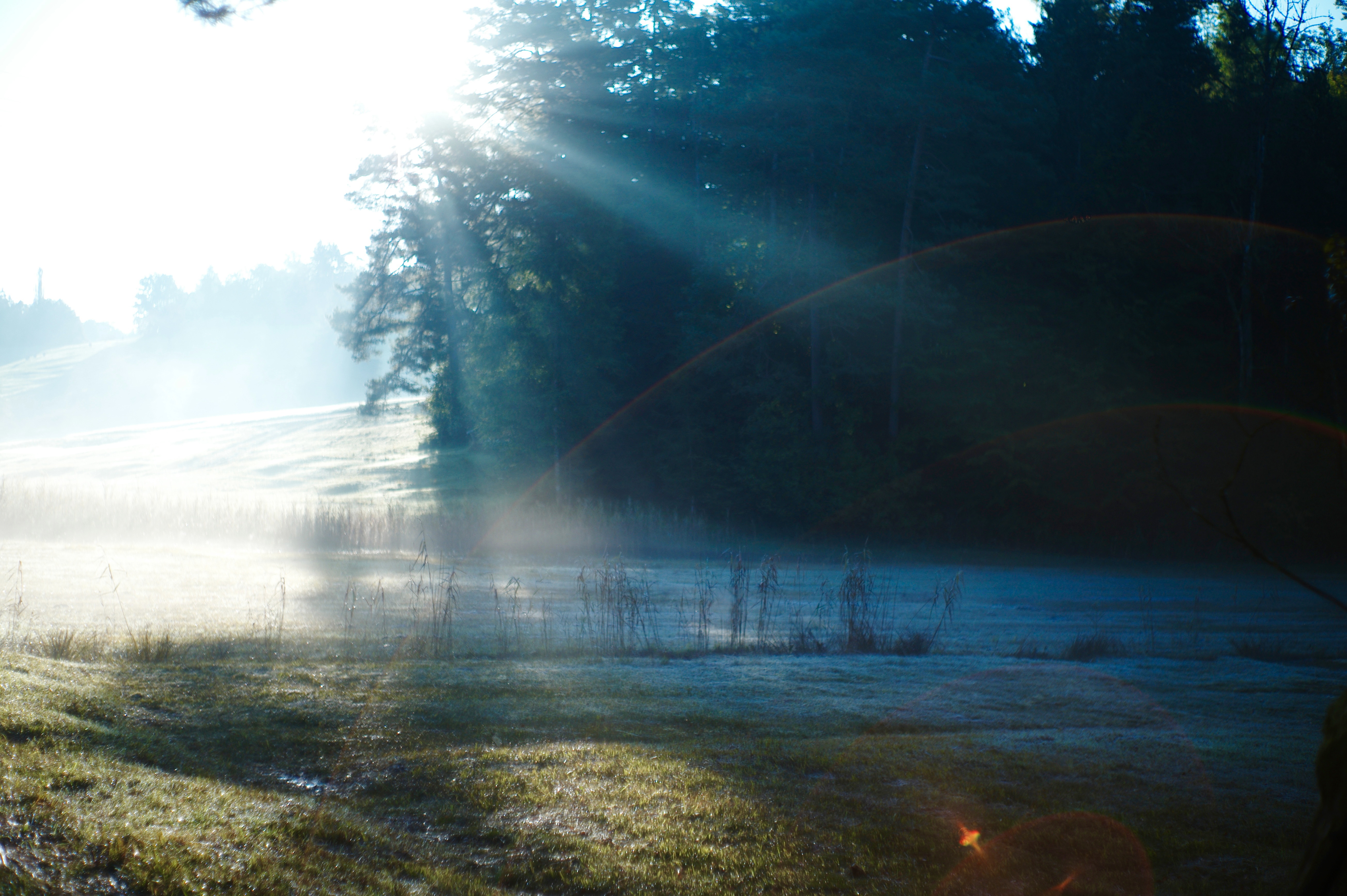 light 2