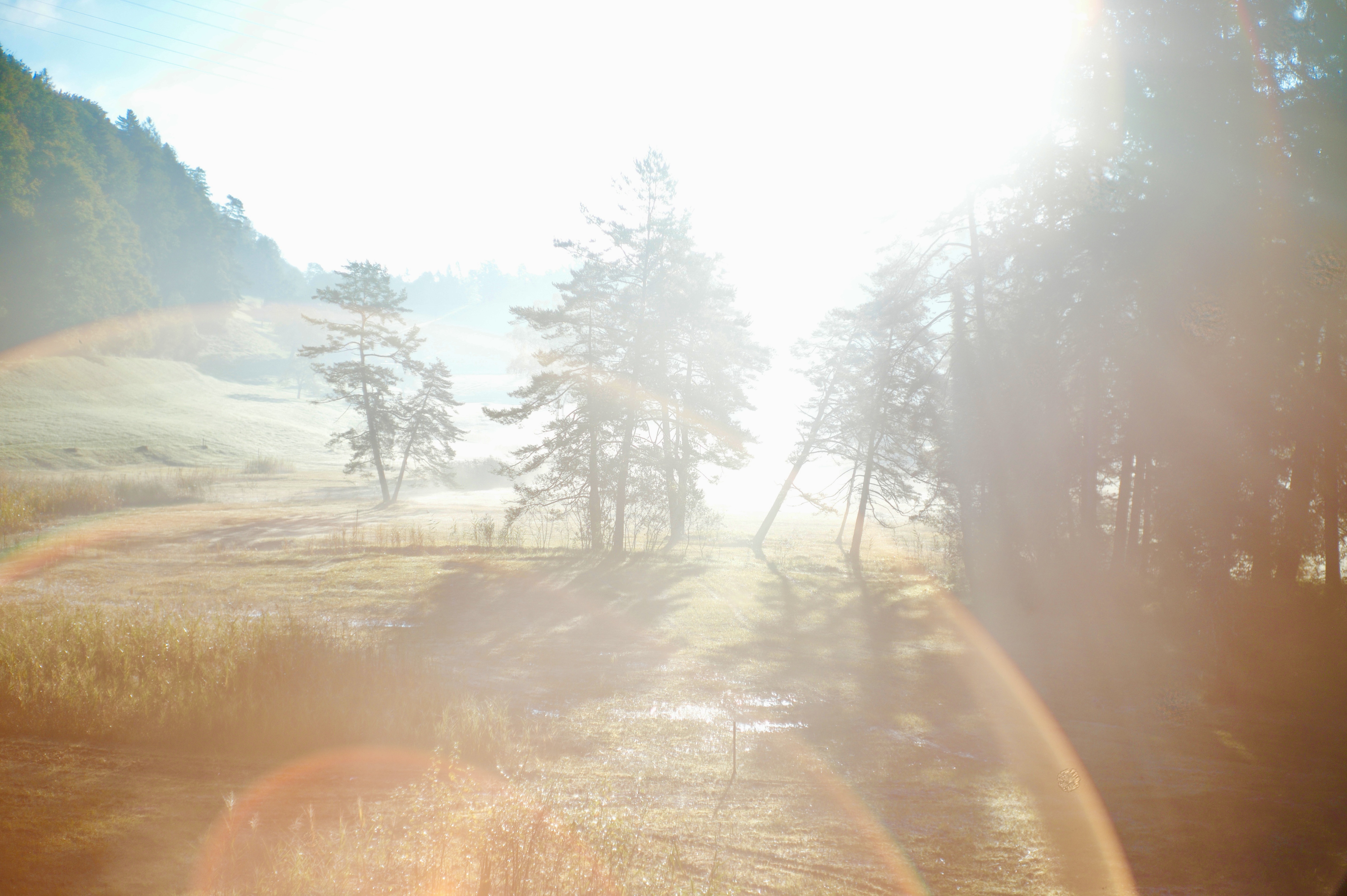 light 5