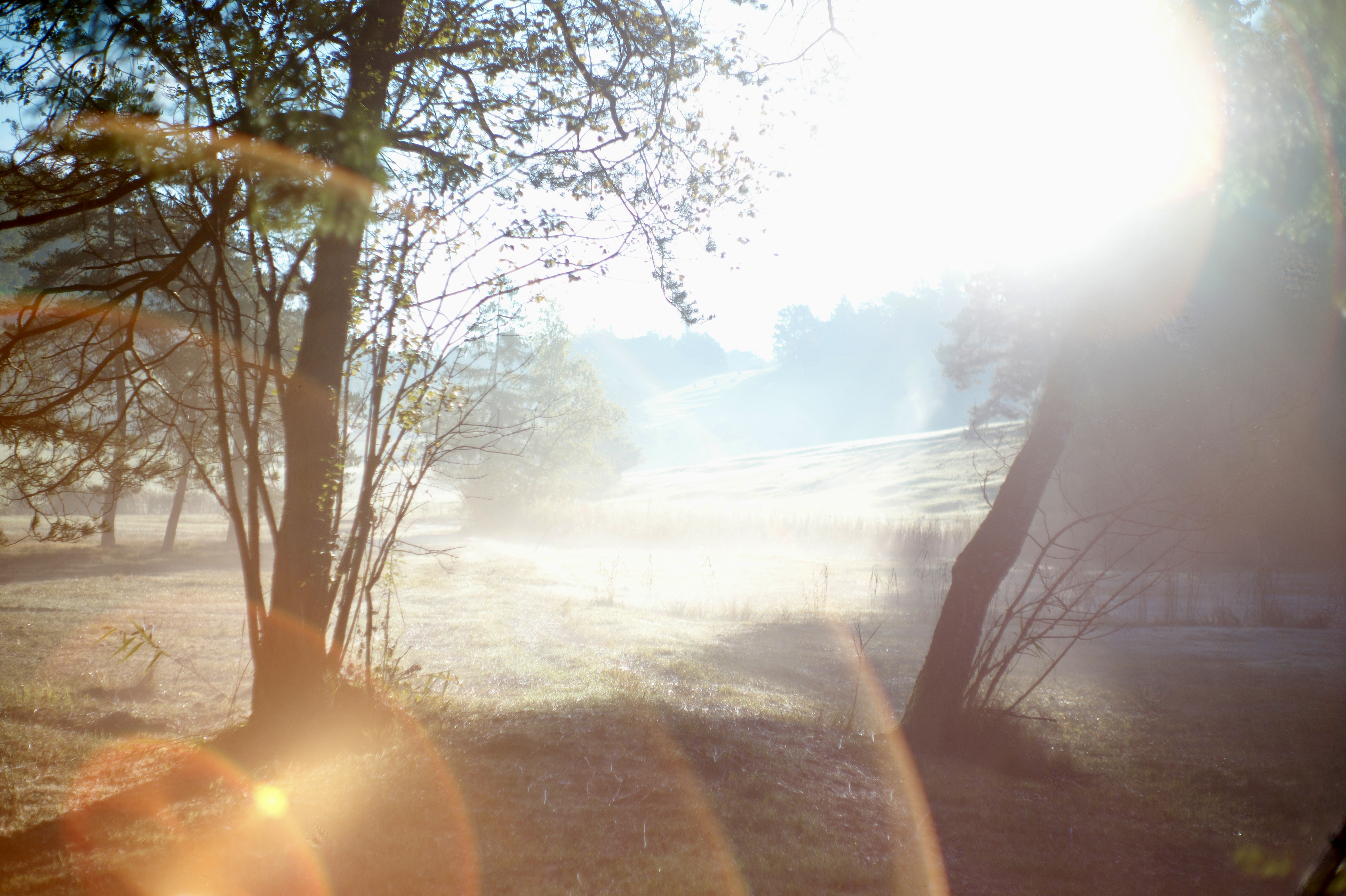 light 8