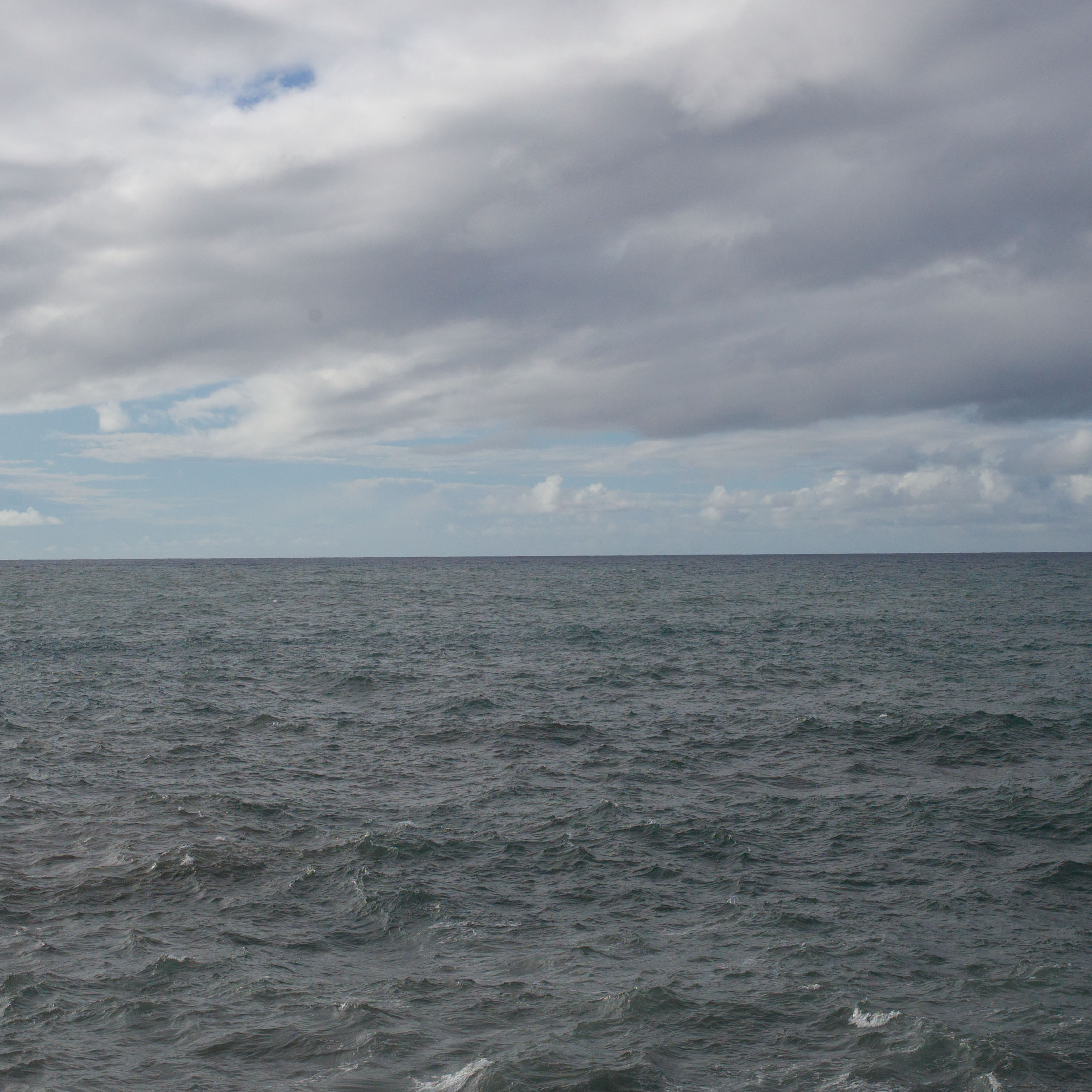 meer 12