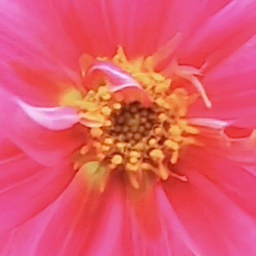 pinky