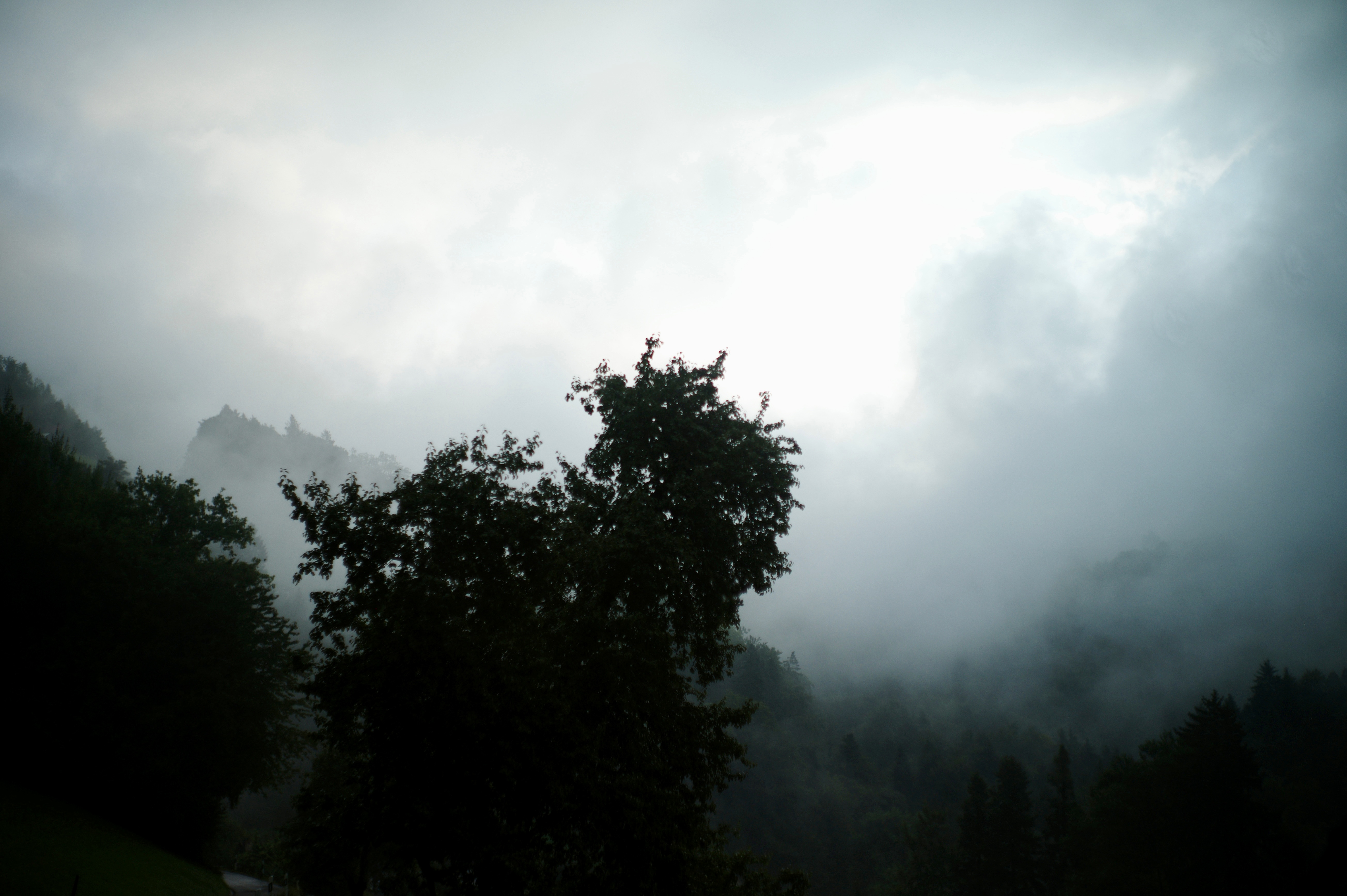 regen 1
