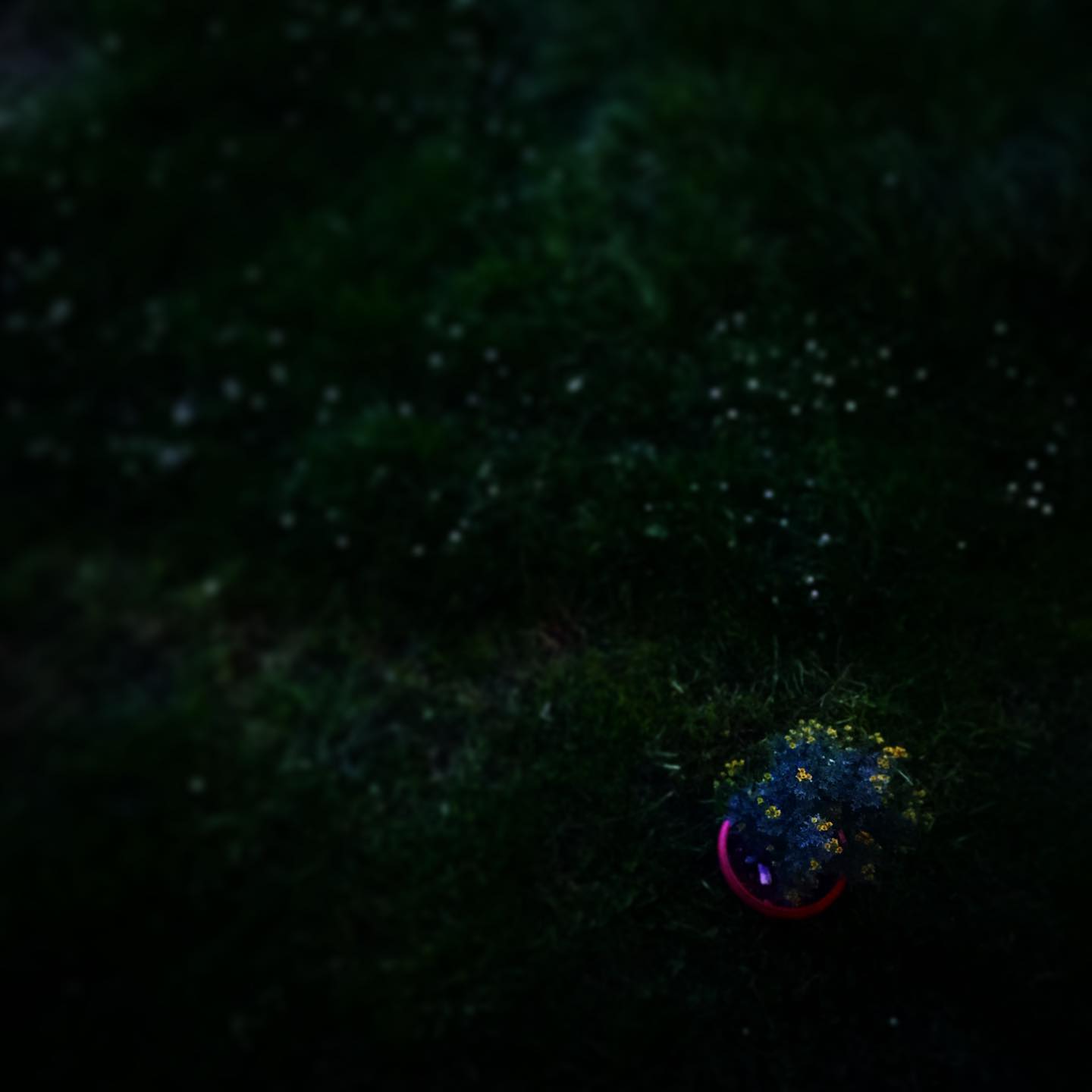 silence
